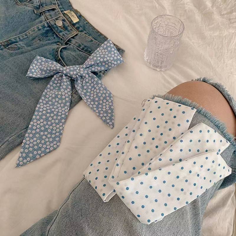 New Spring Blue‑Tone Twilly Sc - Travel Accessories Aesthetic review and price